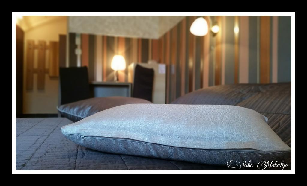 Smjestaj Natalija Hotell Osijek Rom bilde